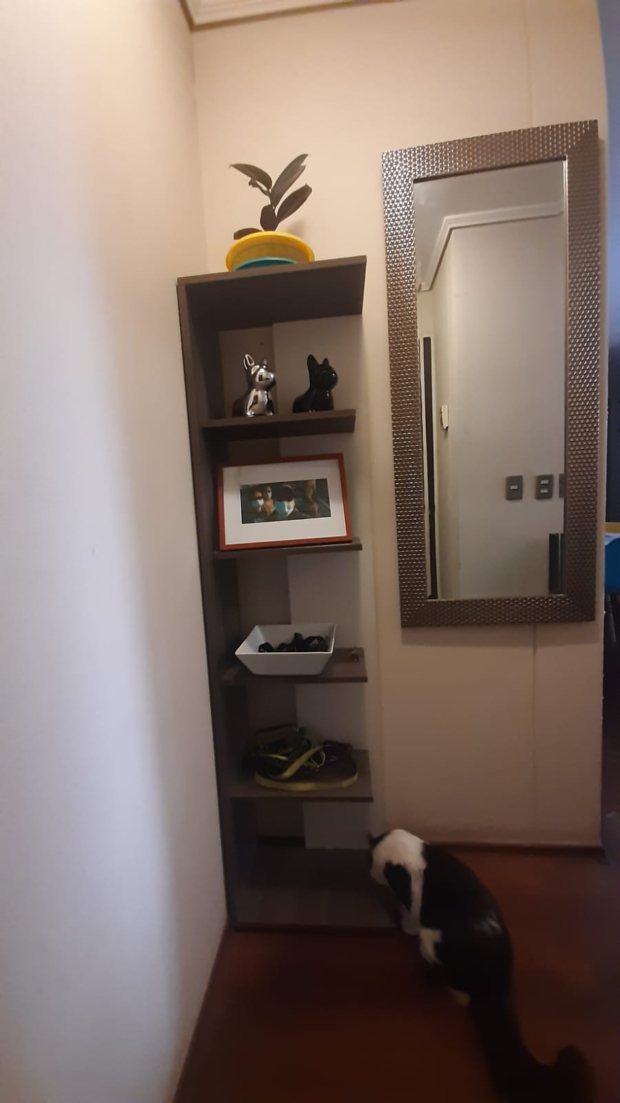 Estante Esquinero - Imagen 2