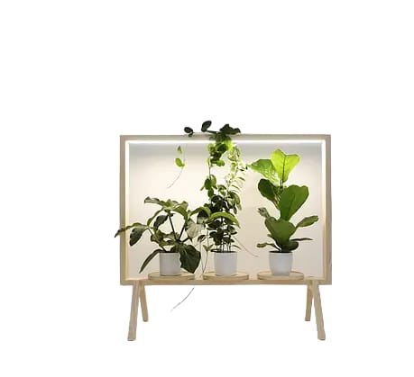 Marco Para Plantas Con Luz Led Biombo Separador De Espacio - Imagen 13