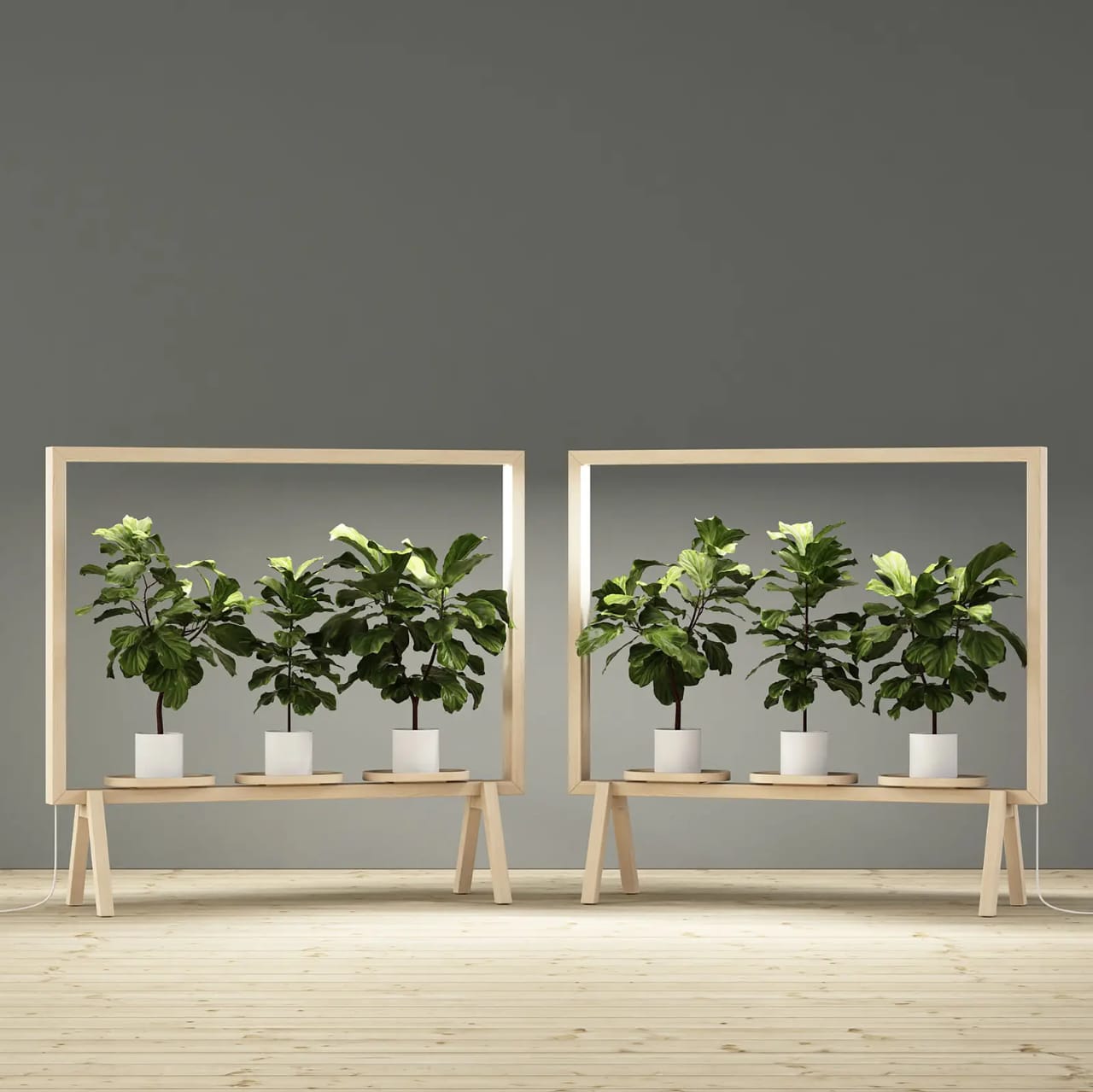 Marco Para Plantas Con Luz Led Biombo Separador De Espacio - Imagen 10