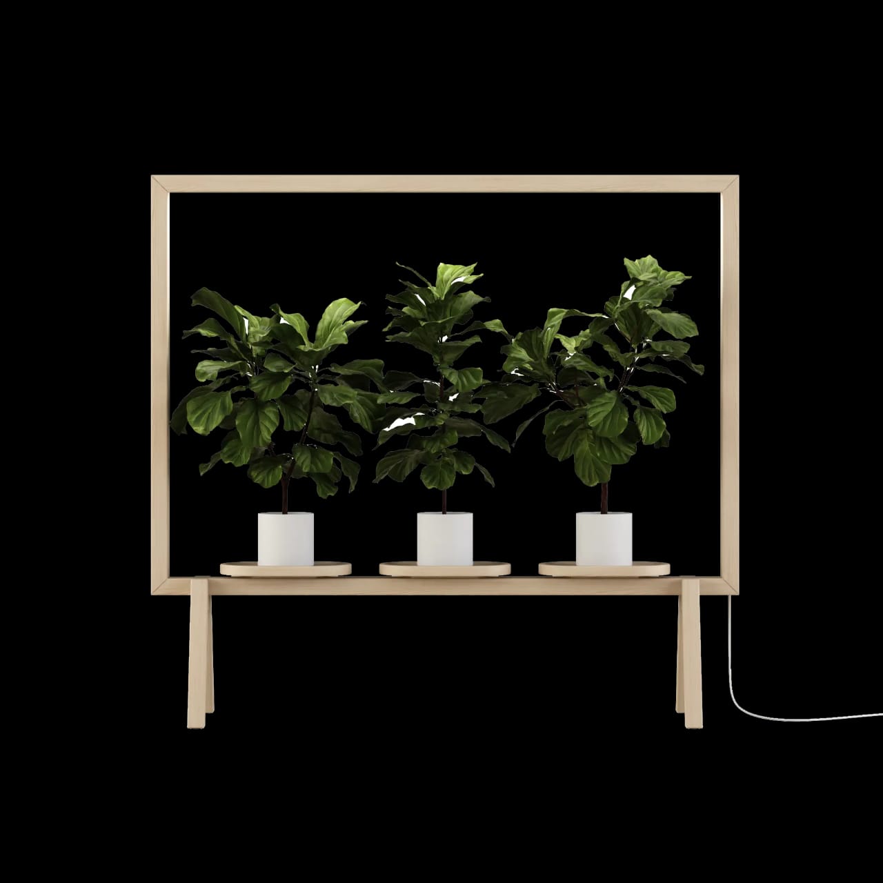 Marco Para Plantas Con Luz Led Biombo Separador De Espacio - Imagen 9