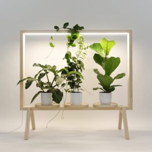 Marco Para Plantas Con Luz Led Biombo Separador De Espacio