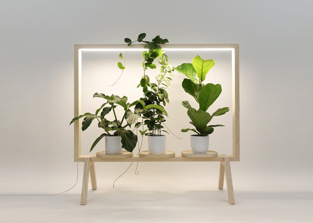 Marco Para Plantas Con Luz Led Biombo Separador De Espacio