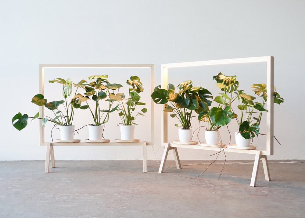 Marco Para Plantas Con Luz Led Biombo Separador De Espacio - Imagen 6