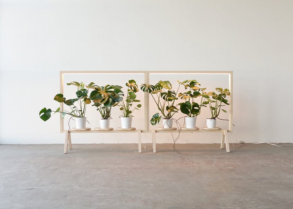 Marco Para Plantas Con Luz Led Biombo Separador De Espacio - Imagen 5